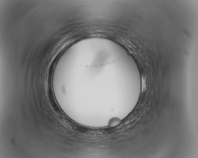 X0000112870291200908211036