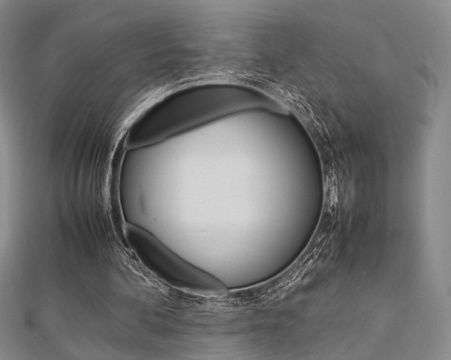 X0000112870292200908211036