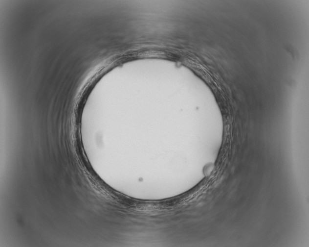 X0000112870293200908211036