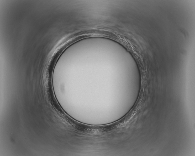 X0000112870295200908211036