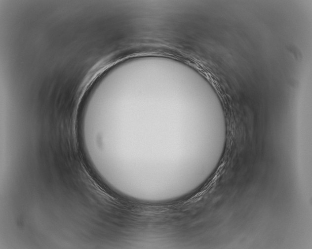 X0000112870296200908211036