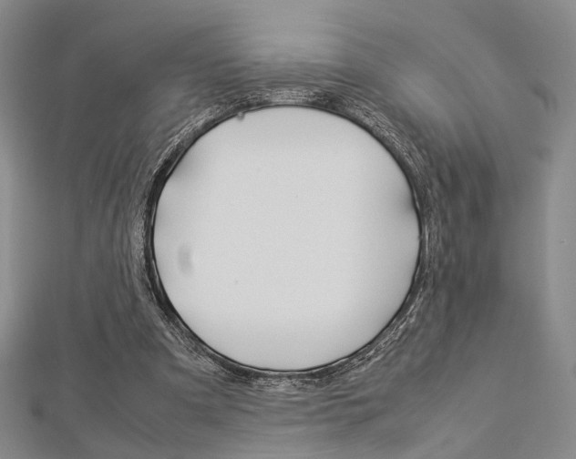 X0000112870297200908211036