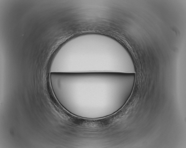 X0000112870299200908211035
