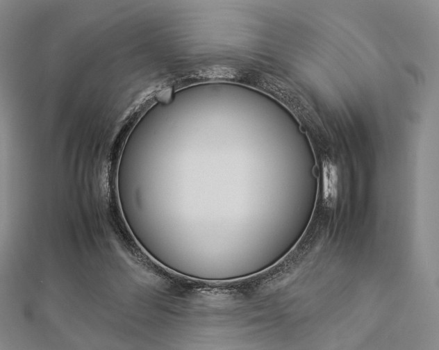 X0000112870300200908211035