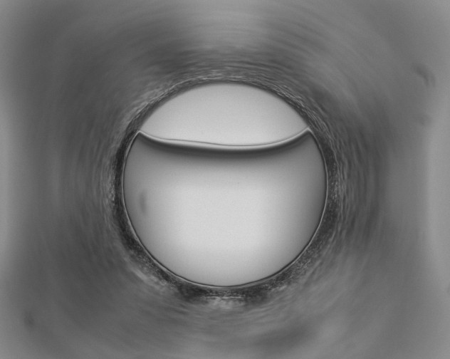 X0000112870303200908211035
