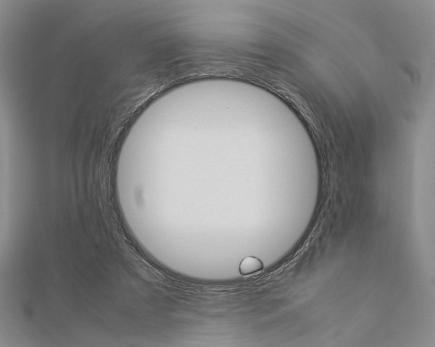 X0000112870305200908211035