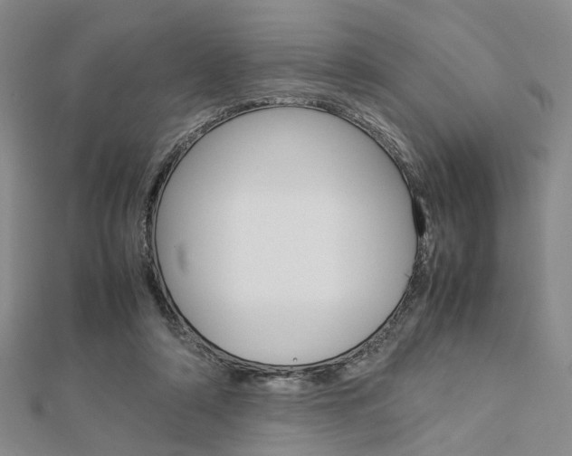 X0000112870306200908211035