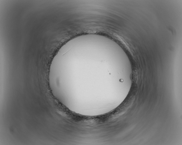 X0000112870307200908211035