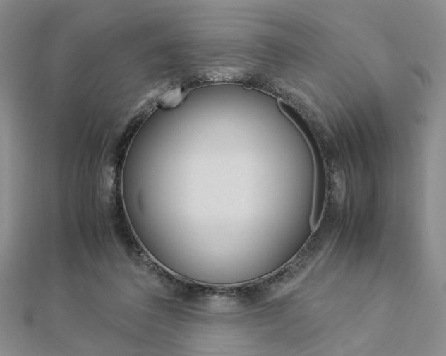 X0000112870308200908211035