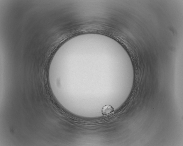 X0000112870309200908211035