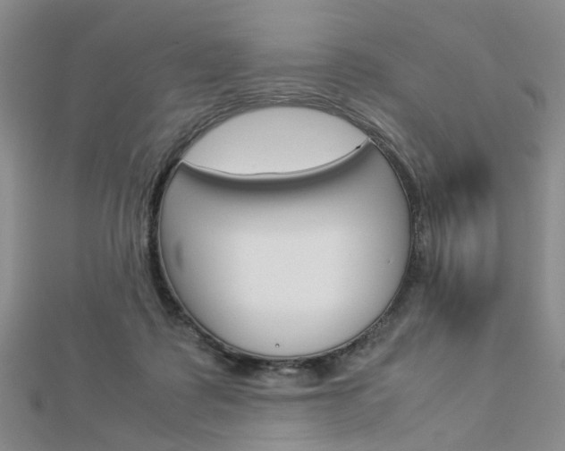 X0000112870315200908211035