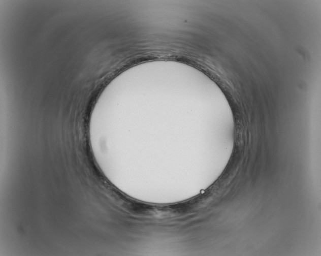 X0000112870317200908211035