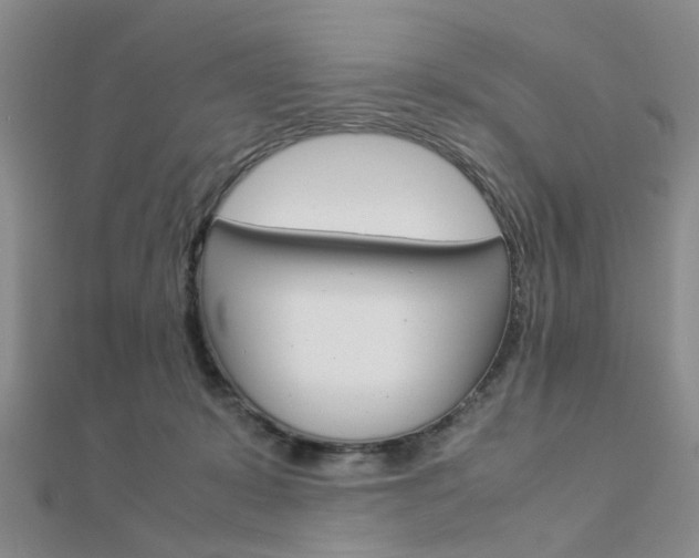 X0000112870319200908211035