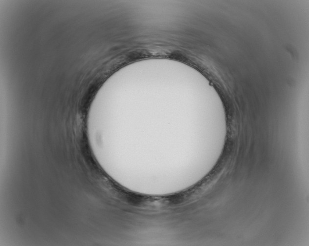 X0000112870321200908211035