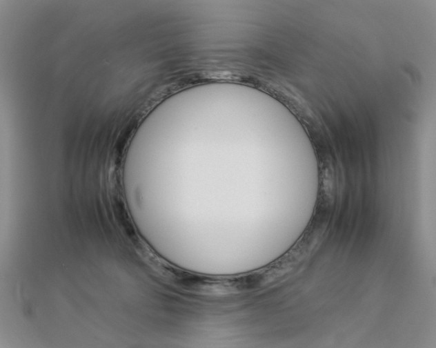 X0000112870322200908211035