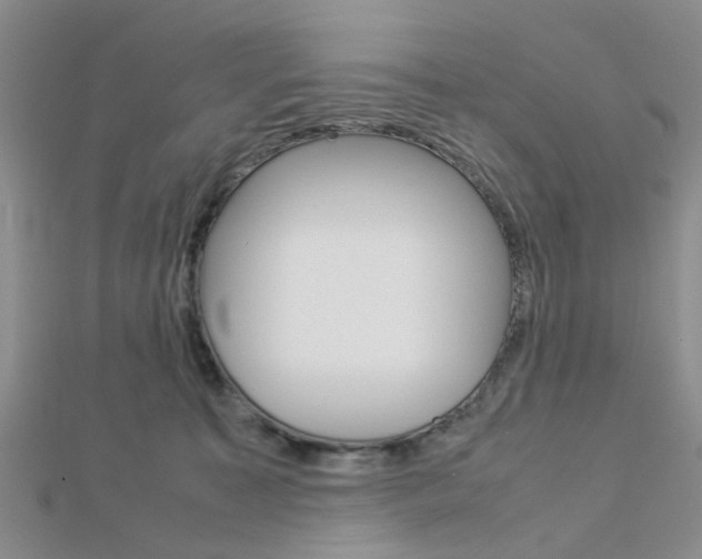 X0000112870323200908211035