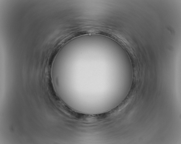 X0000112870325200908211035