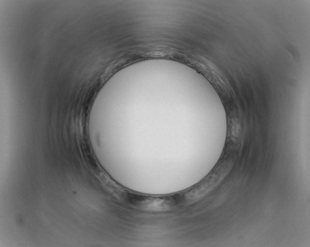 X0000112870326200908211035
