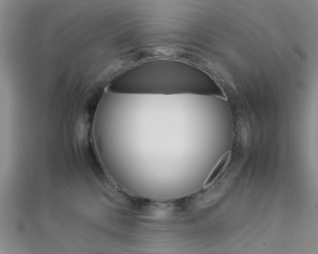 X0000112870328200908211035