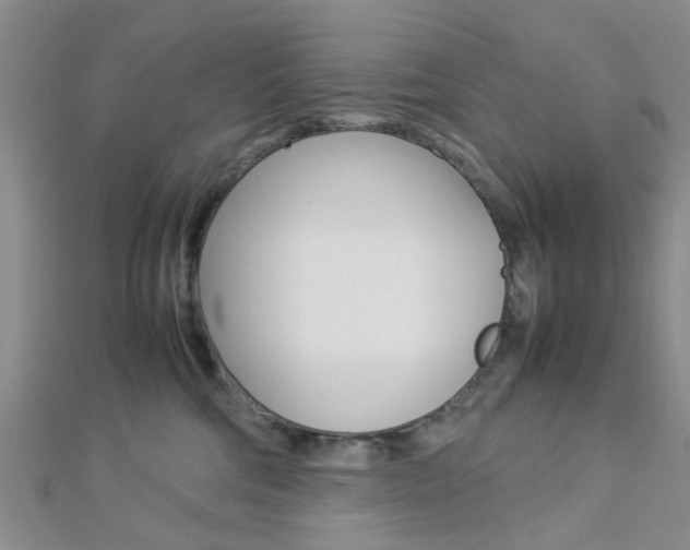 X0000112870330200908211035