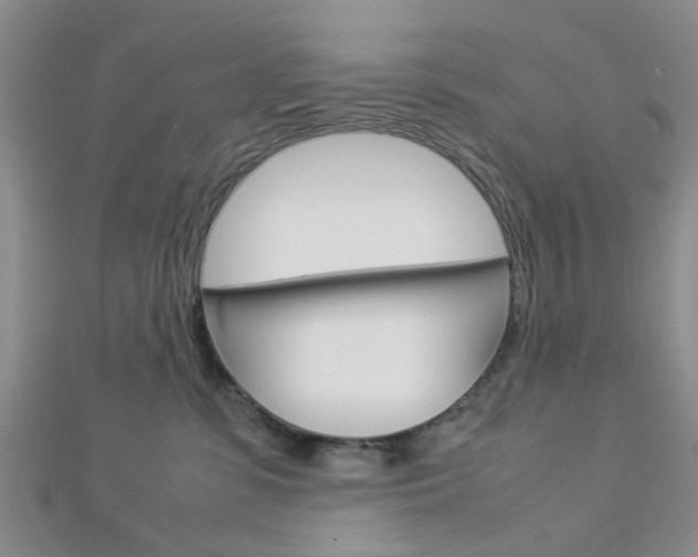 X0000112870331200908211035