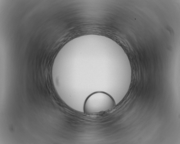 X0000112870332200908211035