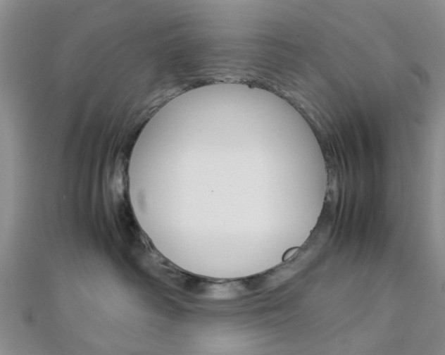 X0000112870334200908211035