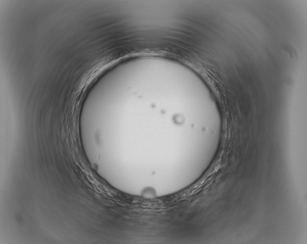 X0000112870337200908211034