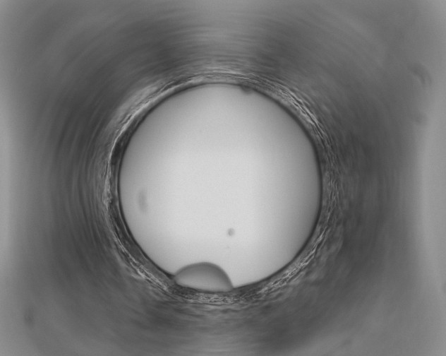 X0000112870338200908211034