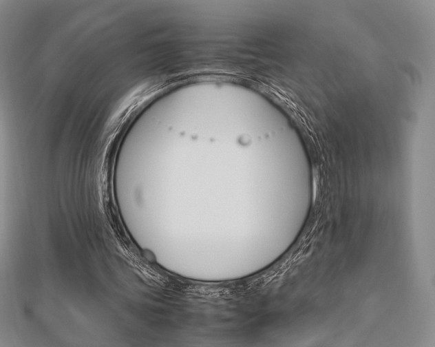 X0000112870339200908211034