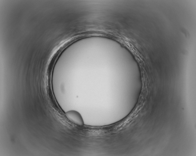 X0000112870342200908211034