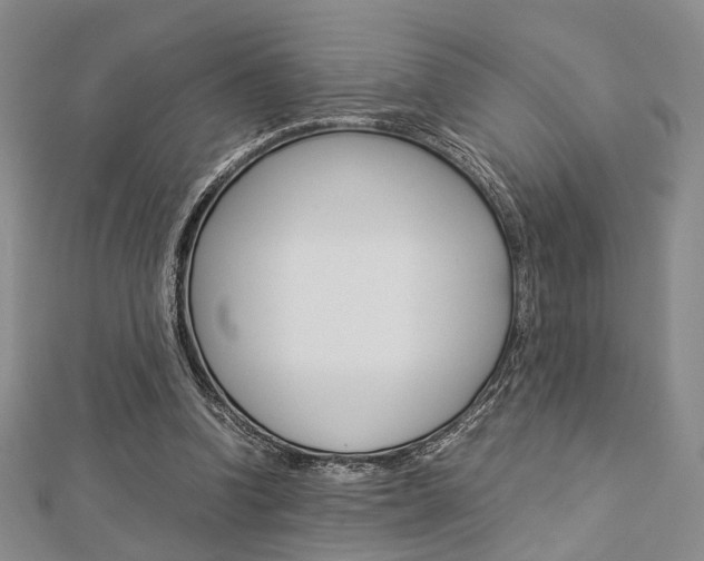 X0000112870346200908211035