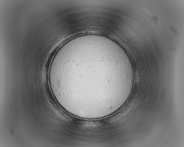 X0000112870347200908211035