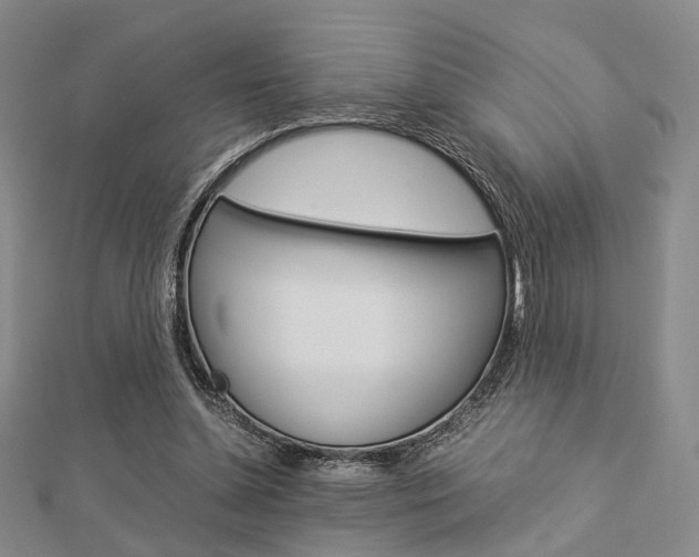 X0000112870348200908211035