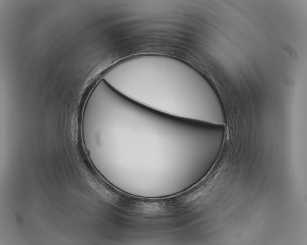 X0000112870349200908211035