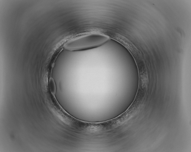 X0000112870350200908211035