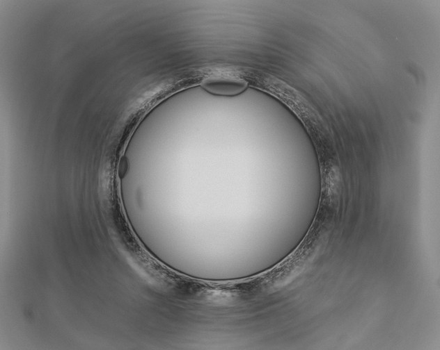 X0000112870352200908211035