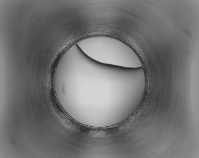 X0000112870354200908211035