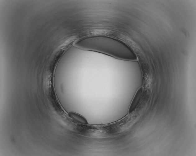 X0000112870356200908211035