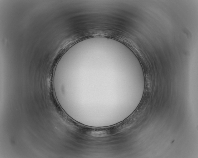 X0000112870357200908211035