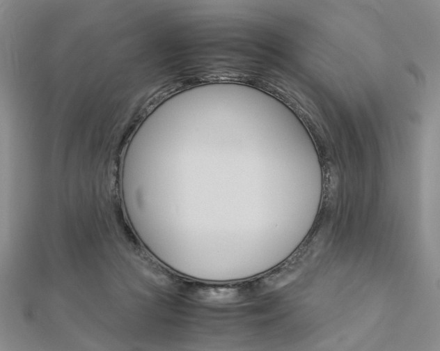 X0000112870361200908211035