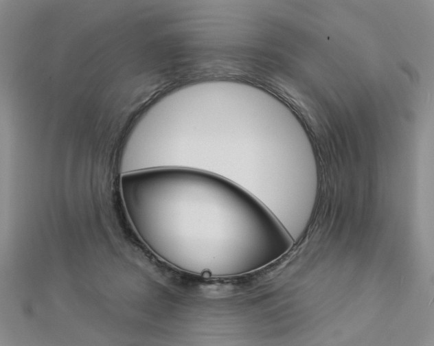 X0000112870362200908211035