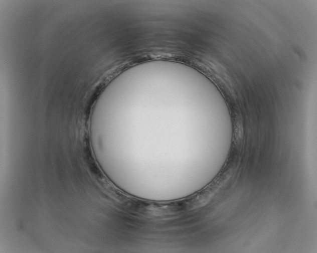 X0000112870367200908211035