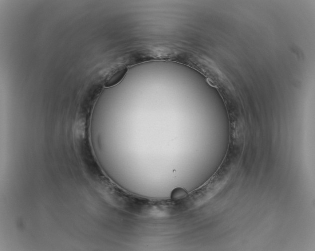 X0000112870368200908211035