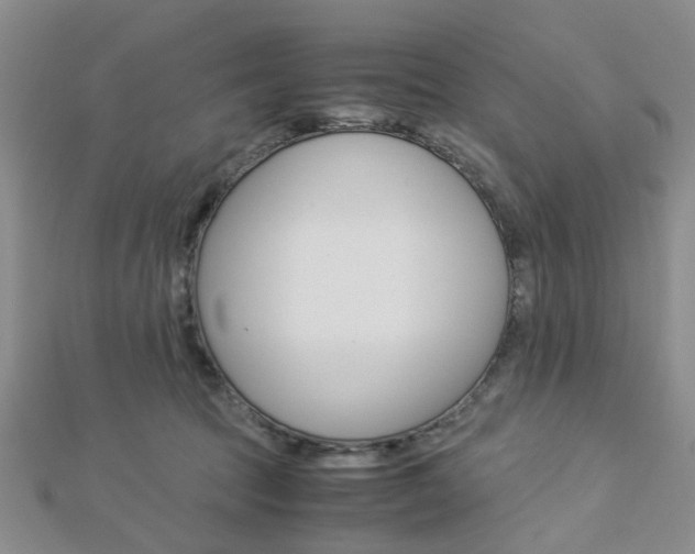 X0000112870369200908211035