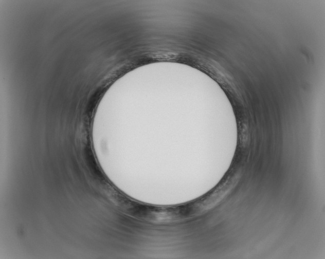 X0000112870370200908211035