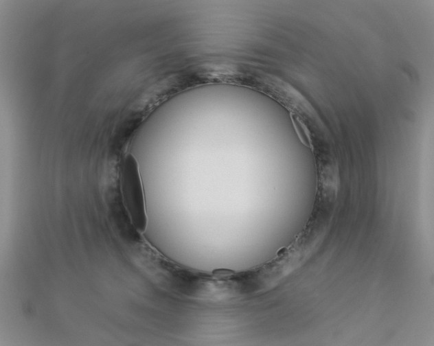 X0000112870372200908211035