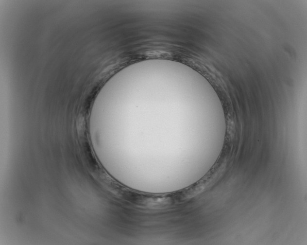 X0000112870375200908211035