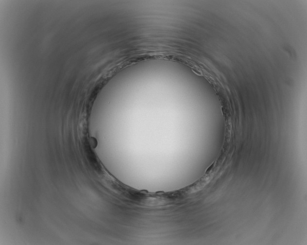 X0000112870376200908211035