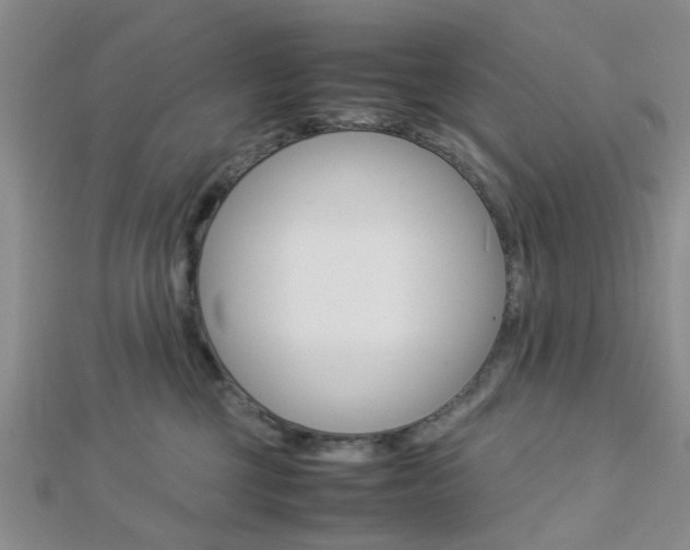 X0000112870377200908211035